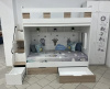 Двухъярусная кровать Твинс 190х90 от Династия Kids