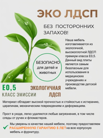 Стеллаж-перегородка + кровать коллекции Престиж от Династия Kids